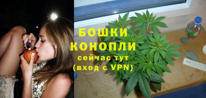 Шишки марихуана OG Kush  Кинешма 